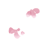 Petal